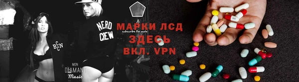 ПСИЛОЦИБИНОВЫЕ ГРИБЫ Белокуриха