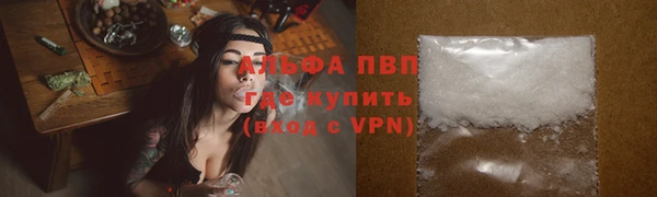 ПСИЛОЦИБИНОВЫЕ ГРИБЫ Белокуриха