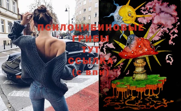 а пвп мука Богородск