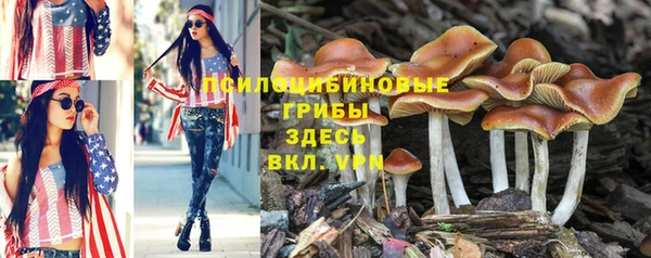бутират Богданович