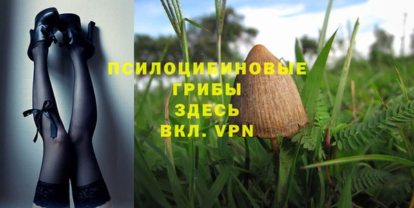 бутират Богданович