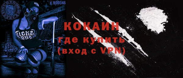 прущие грибы Богородицк